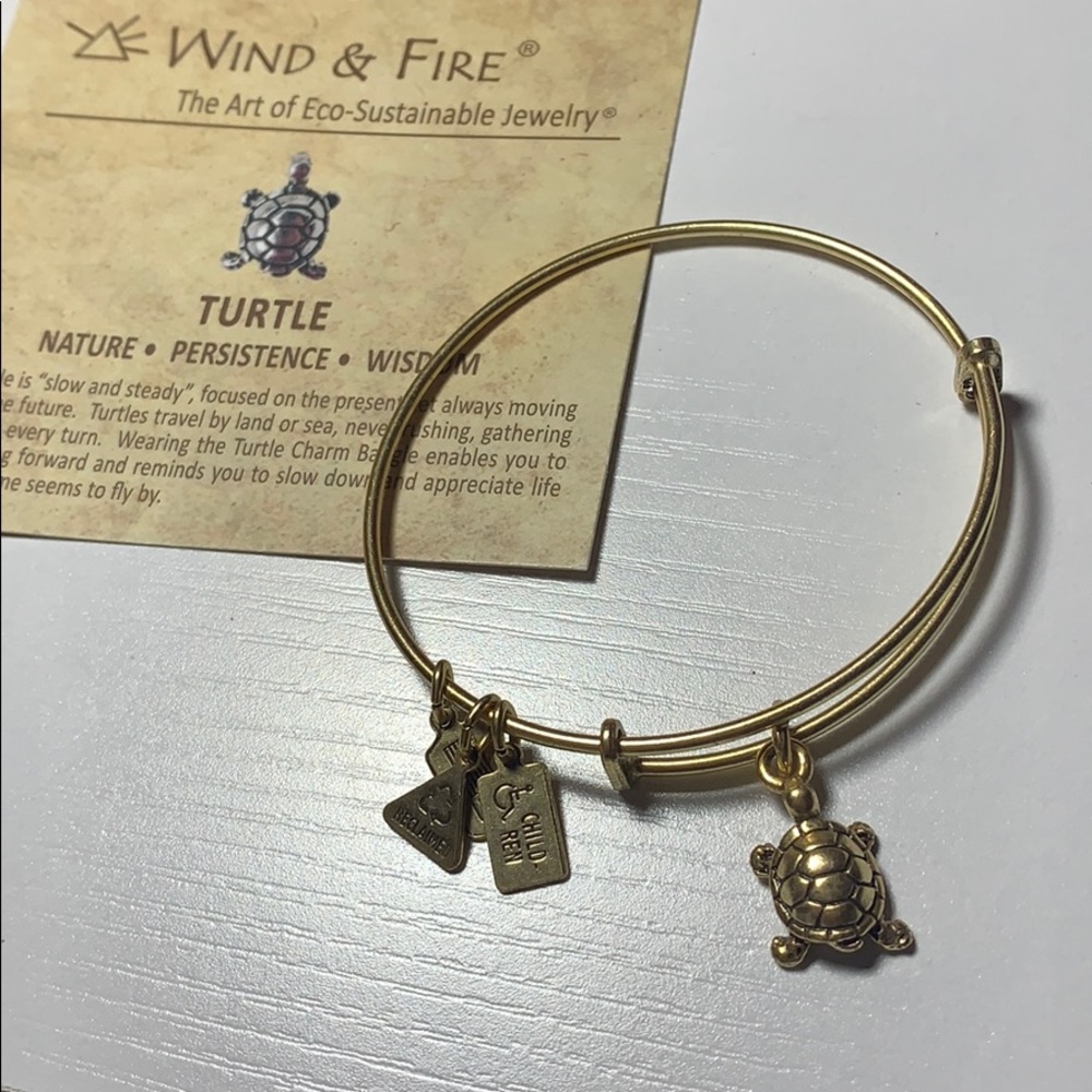 Turtle Charm Bracelet